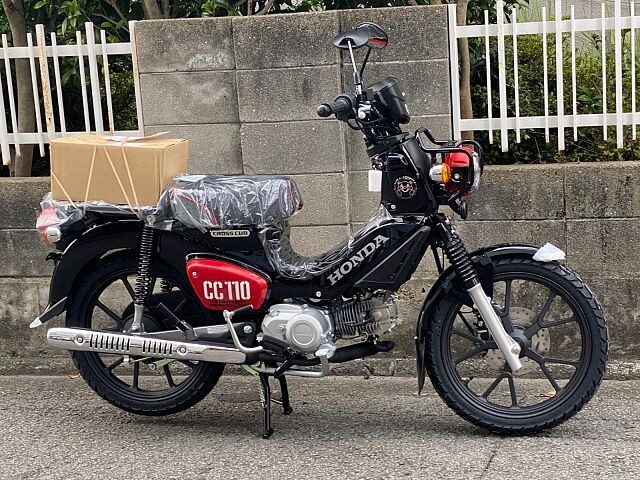 �z���_�N���X�J�u110�i���Q�����R�s�j�摜2