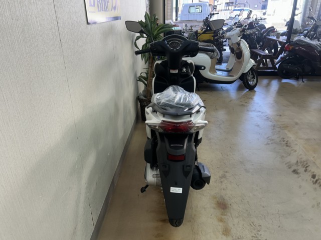 �z���_Dio110 Lite�i���m�����m�s�j�摜3