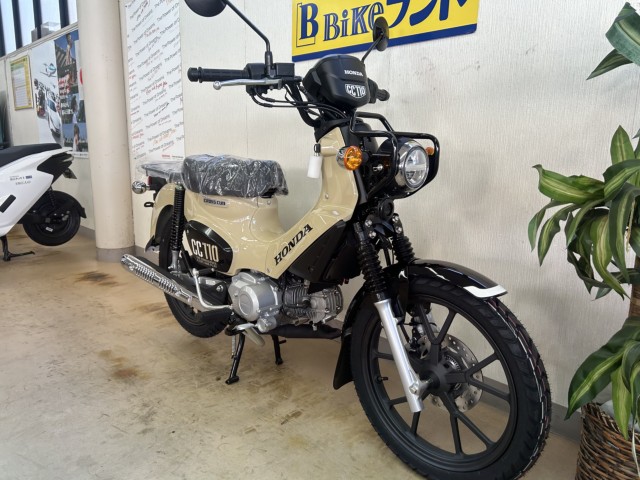 �z���_�N���X�J�u110�i���m�����m�s�j�摜2