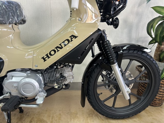 �z���_�N���X�J�u110�i���m�����m�s�j�摜6