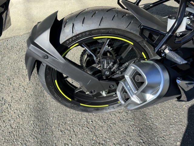 XYLWNT[250iQ쑽Sqj摜8