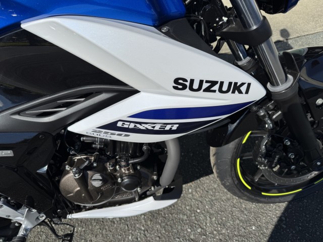 XYLWNT[250iQ쑽Sqj摜10