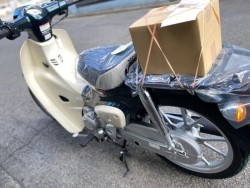 �z���_Super Cub 110 Lite�i���Q�����R�s�j�摜17
