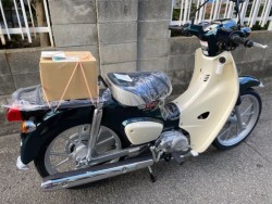 �z���_Super Cub 110 Lite�i���Q�����R�s�j�摜19