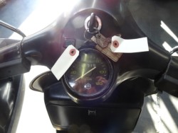 �x�X�p�x�X�pPX200�i���m���h�юs�j�摜5