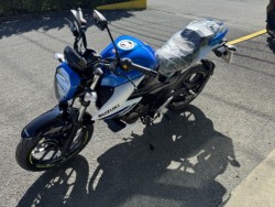 XYLWNT[250iQ쑽Sqj摜4