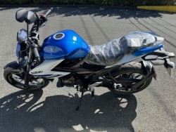 XYLWNT[250iQ쑽Sqj摜5