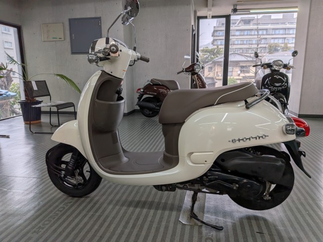 �z���_�W�����m�i���Q�����R�s�j�摜5