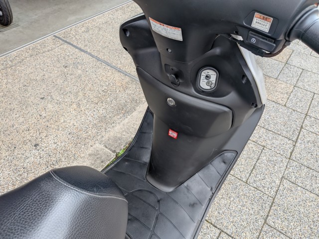 �z���_�X�y�C�V�[100�i���Q�����R�s�j�摜6