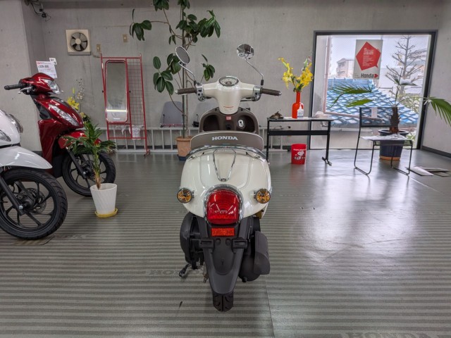 �z���_�W�����m�i���Q�����R�s�j�摜7