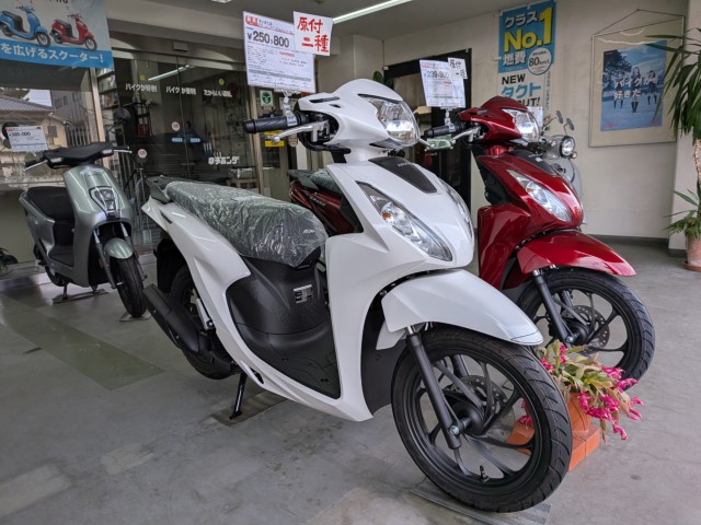 �z���_�f�B�I110�i���Q�����R�s�j�摜2