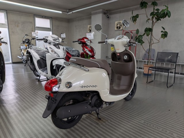 �z���_�W�����m�i���Q�����R�s�j�摜8