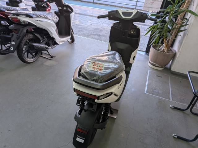 �z���_�Y�[�}�[�i���Q�����R�s�j�摜13