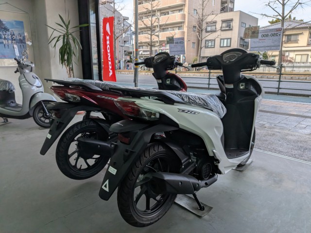 �z���_�f�B�I110�i���Q�����R�s�j�摜4