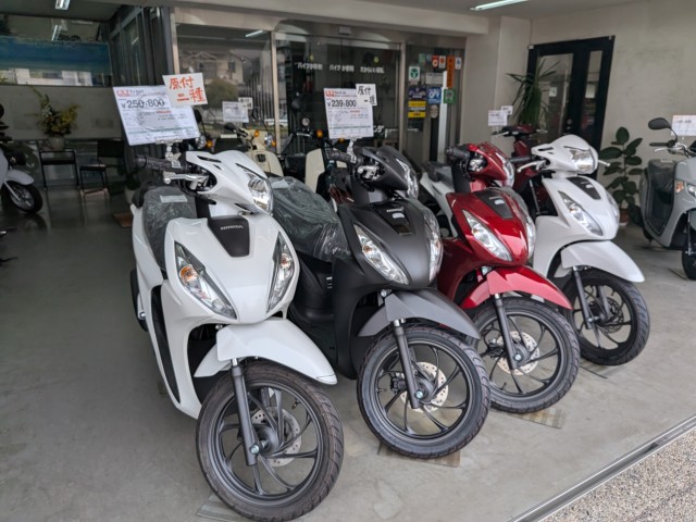 �z���_�X�y�C�V�[100�i���Q�����R�s�j�摜10