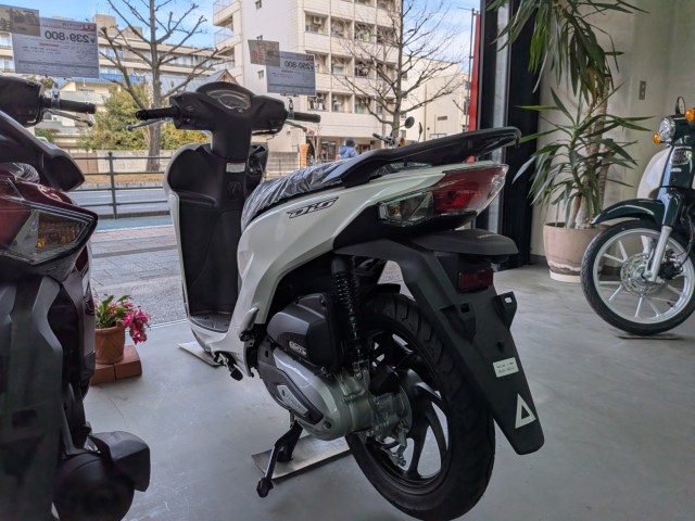 �z���_�f�B�I110�i���Q�����R�s�j�摜6