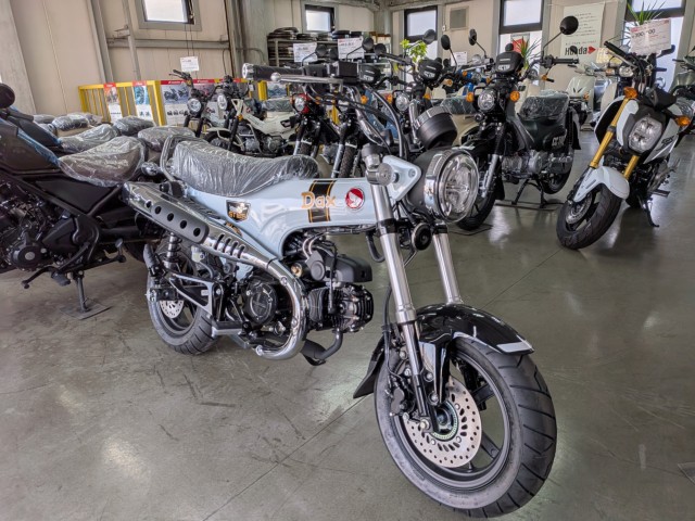 �z���_�_�b�N�X125�i���Q�����R�s�j�摜2