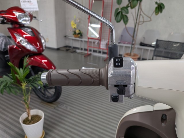 �z���_�W�����m�i���Q�����R�s�j�摜12