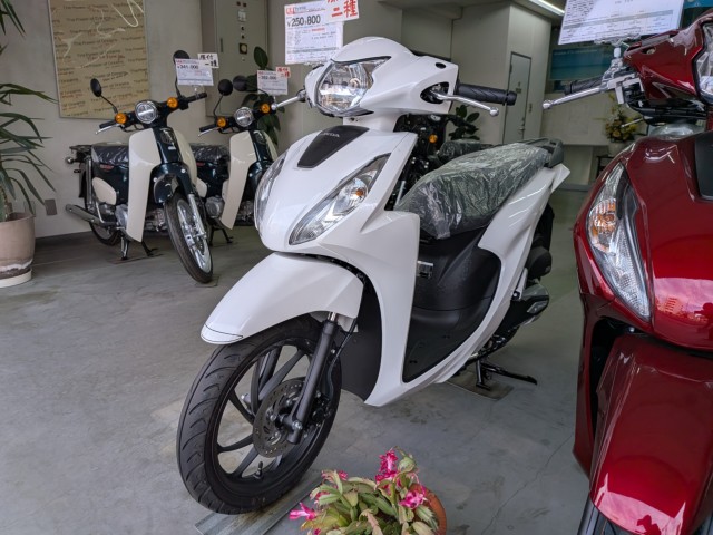 �z���_�f�B�I110�i���Q�����R�s�j�摜7