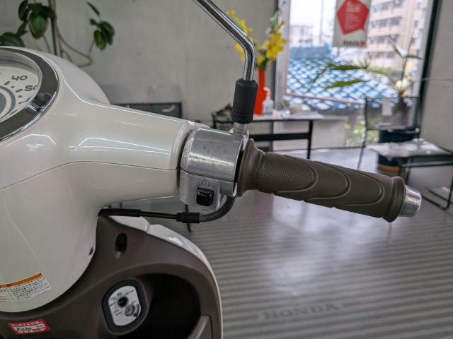 �z���_�W�����m�i���Q�����R�s�j�摜13