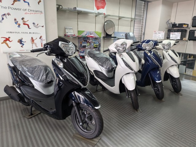 �z���_�X�y�C�V�[100�i���Q�����R�s�j�摜13