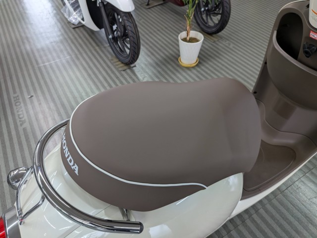 �z���_�W�����m�i���Q�����R�s�j�摜16