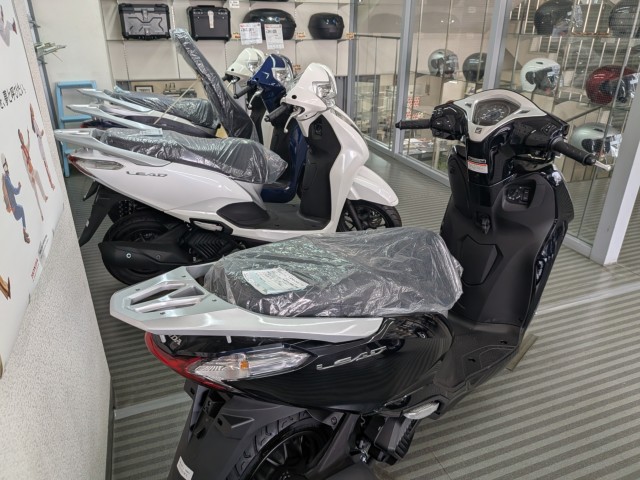 �z���_�X�y�C�V�[100�i���Q�����R�s�j�摜16