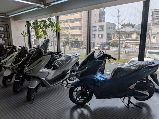 �z���_�X�y�C�V�[100�i���Q�����R�s�j�摜18