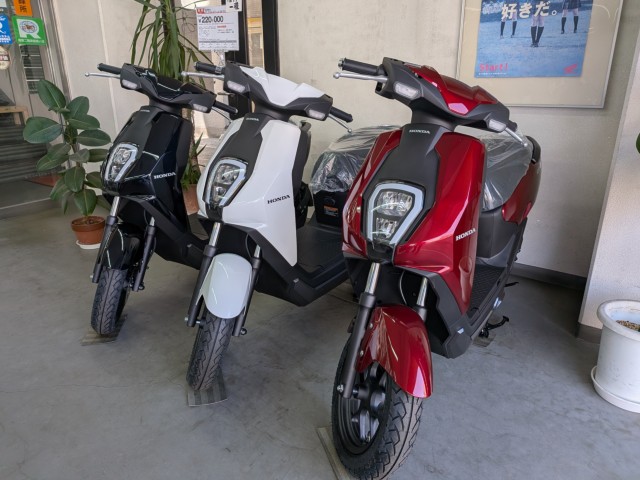 �z���_ICON e:�i���Q�����R�s�j�摜5