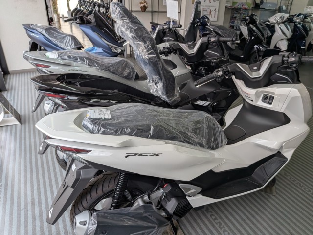 �z���_�X�y�C�V�[100�i���Q�����R�s�j�摜20