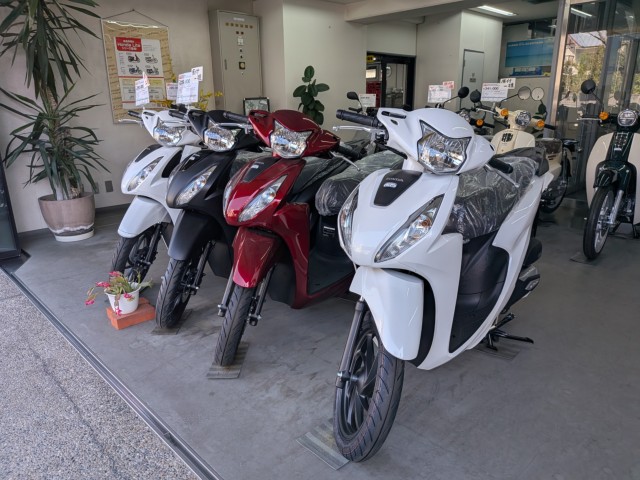 �z���_ICON e:�i���Q�����R�s�j�摜10