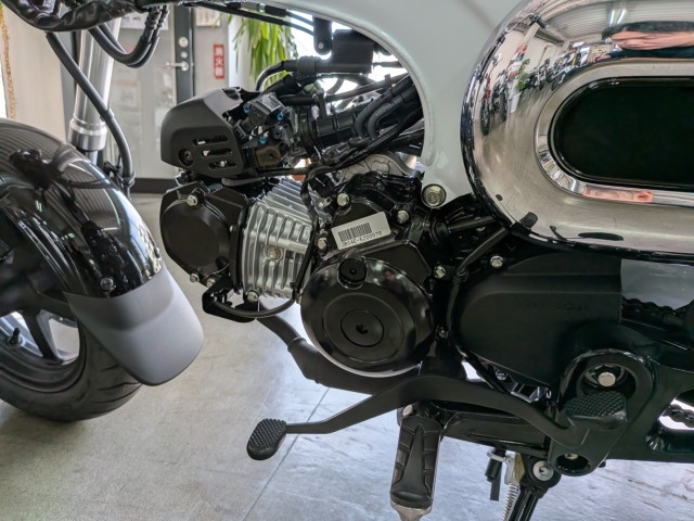 �z���_�_�b�N�X125�i���Q�����R�s�j�摜19