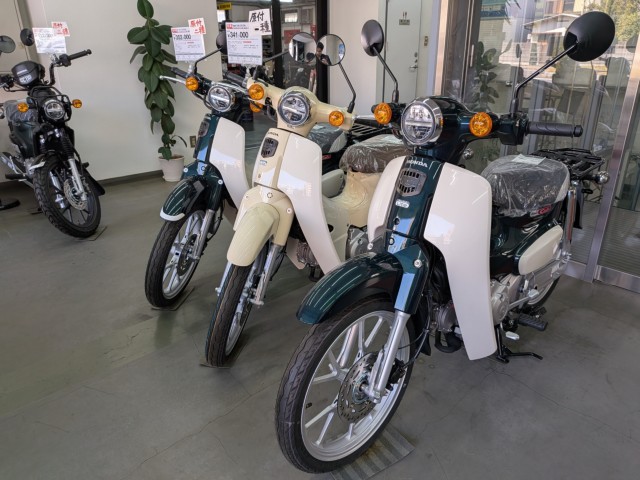 �z���_ICON e:�i���Q�����R�s�j�摜18