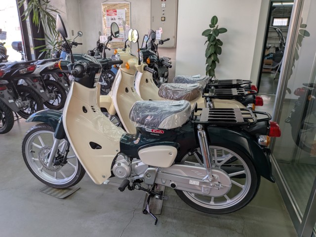 �z���_ICON e:�i���Q�����R�s�j�摜19