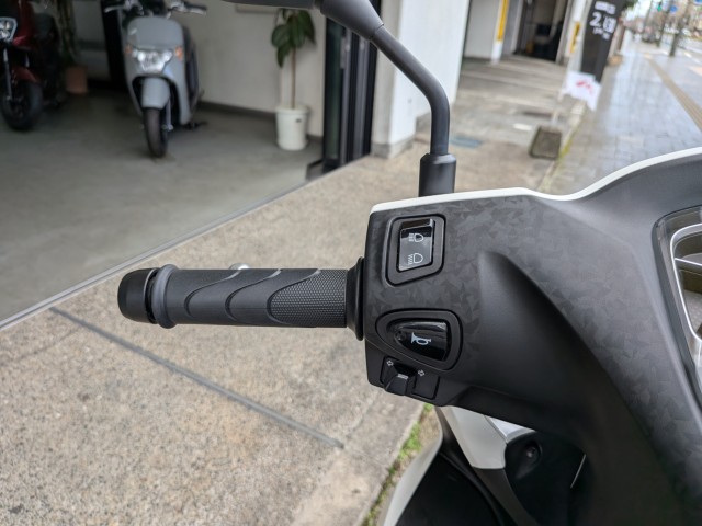 �z���_�f�B�I110�i���Q�����R�s�j�摜12