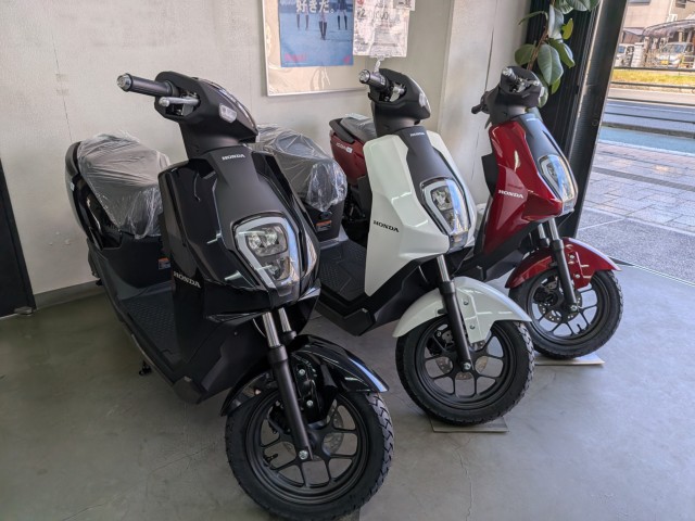 �z���_ICON e:�i���Q�����R�s�j�摜6