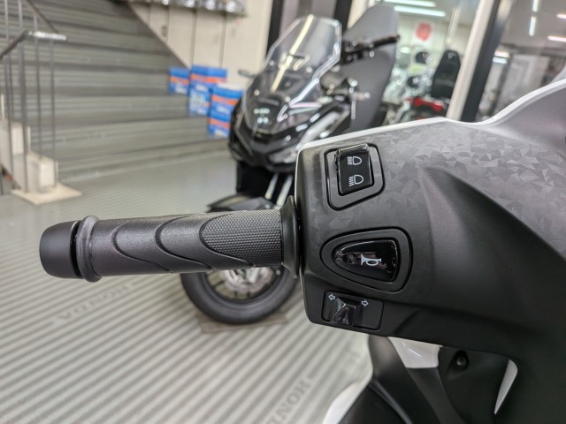 z_Dio110 LiteiQRsj摜13