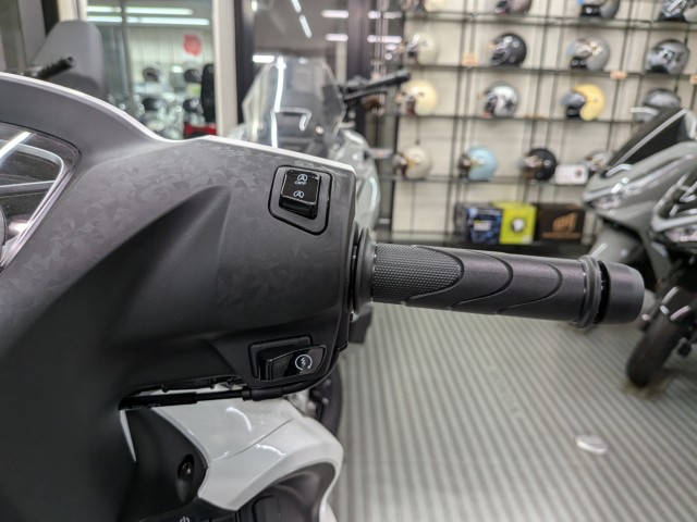 z_Dio110 LiteiQRsj摜14