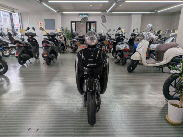 �z���_�W�����m�i���Q�����R�s�j�摜3