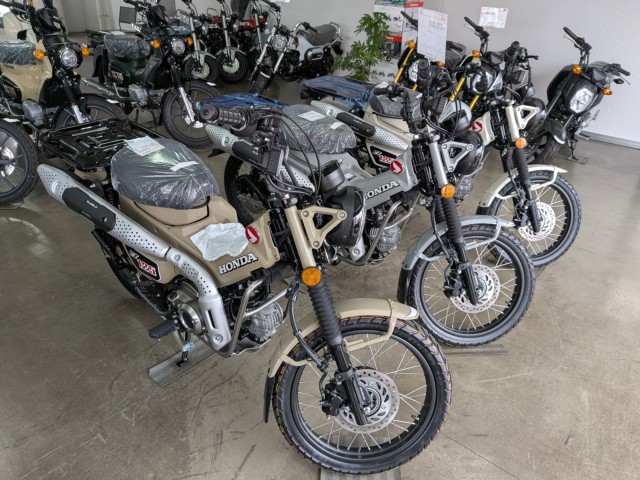 �z���_�����L�[125�i���Q�����R�s�j�摜13