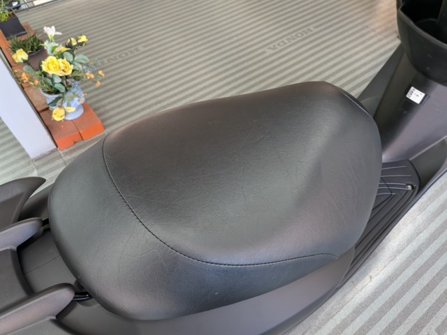 �z���_�f�B�I�i���Q�����R�s�j�摜16