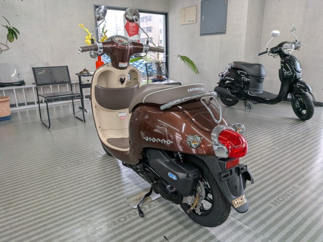 �z���_�W�����m�i���Q�����R�s�j�摜6