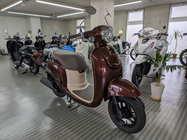 �z���_�W�����m�i���Q�����R�s�j�摜2