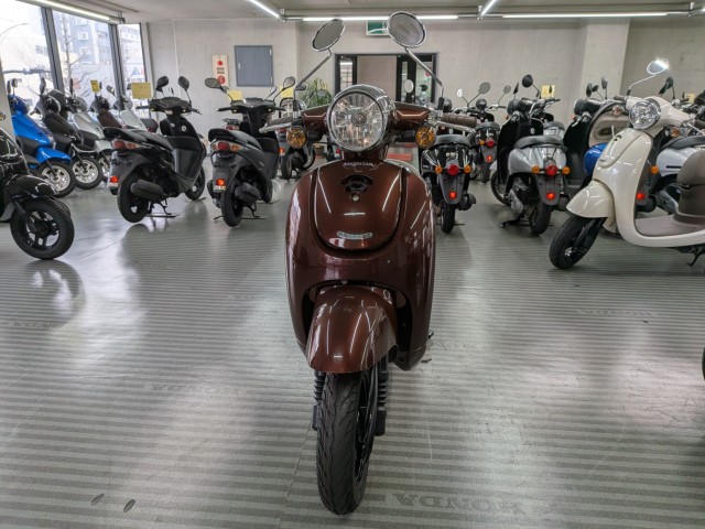 �z���_�W�����m�i���Q�����R�s�j�摜3