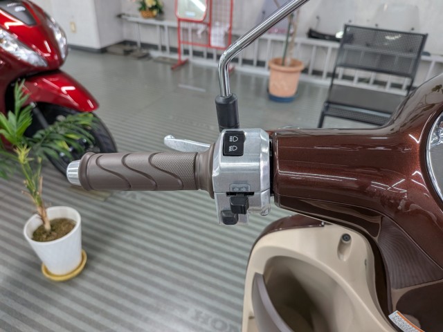 �z���_�W�����m�i���Q�����R�s�j�摜12