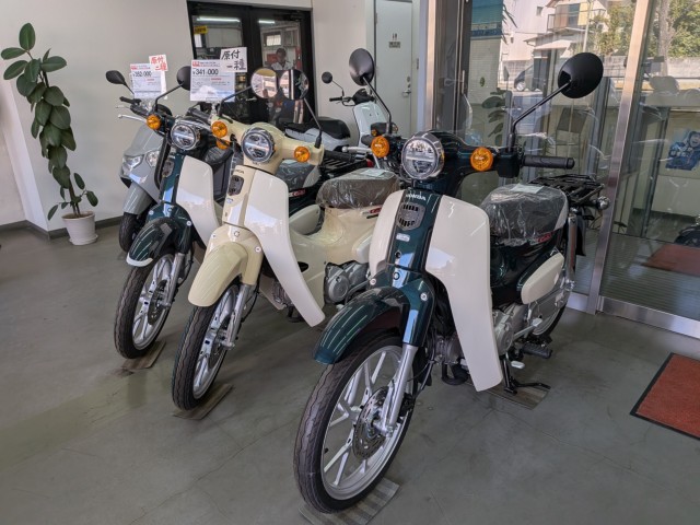 �z���_�x�����C50�i���Q�����R�s�j�摜12