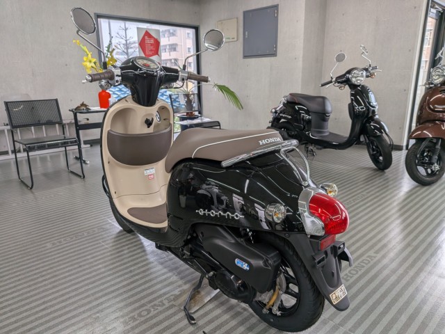 �z���_�W�����m�i���Q�����R�s�j�摜6