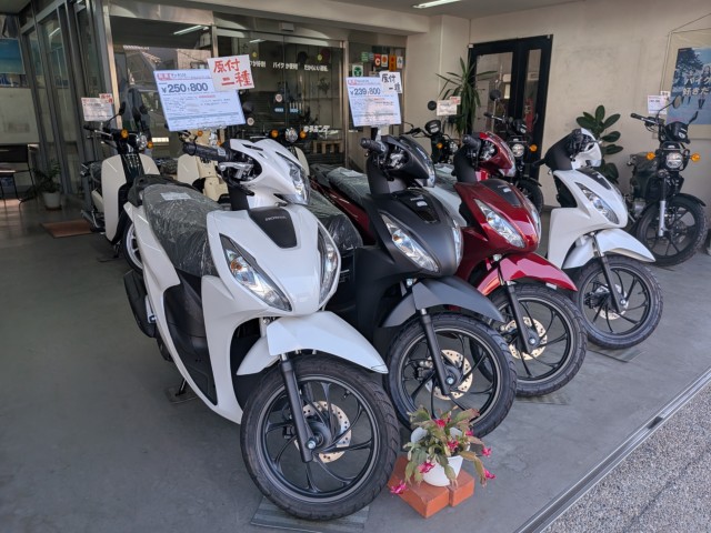 �z���_�x�����C50�i���Q�����R�s�j�摜16