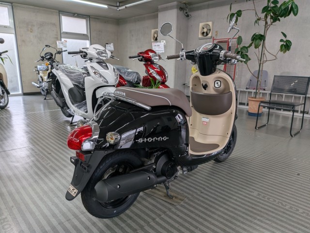 �z���_�W�����m�i���Q�����R�s�j�摜8