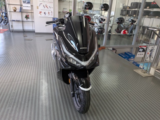 �z���_PCX�i���Q�����R�s�j�摜3